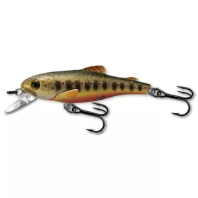 LIVETARGET TROUT JERKBAIT BROOK TROUT 70 MM 9 G