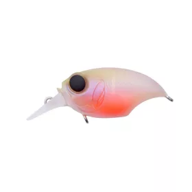 MEGABASS SR-X GRIFFON 43mm 7.0gr BABY KINGYO