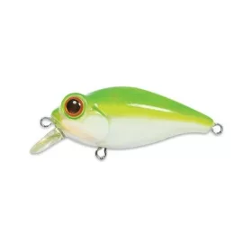 Owner Bug Eye 57 Baby Frog