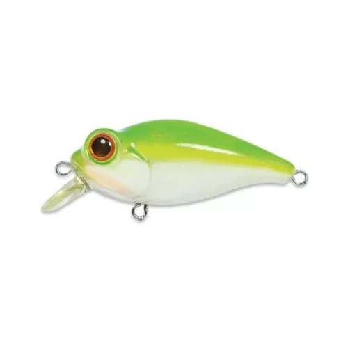 Owner Bug Eye 57 Baby Frog