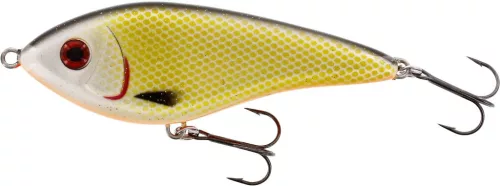 WESTIN Swim Glidebait 12cm 58g Sinking Official Roach