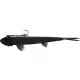 WESTIN TwinTeez Pelagic V-Tail R 'N R 21cm 70g  Black Mamba 1pcs