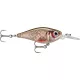 Rapala X-Light Shad FNS04 ROL