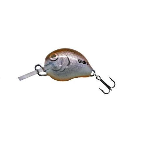 Vidra L1 BR